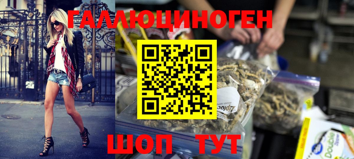 Галлюциногенные грибы Psilocybine cubensis  Вход с VPN  Мичуринск 
